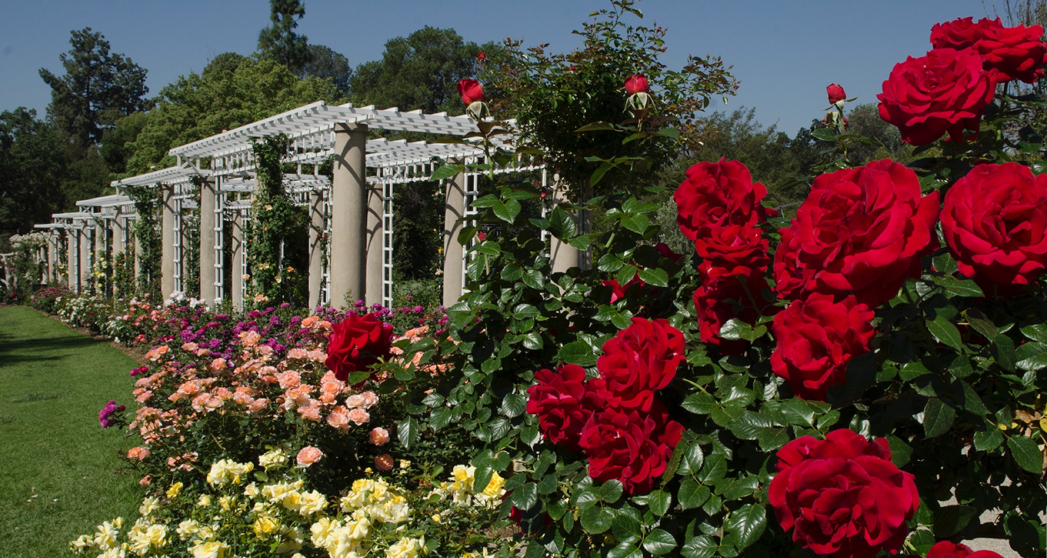 The World of Ralph Lauren Comes to Life at The Huntington Gardens